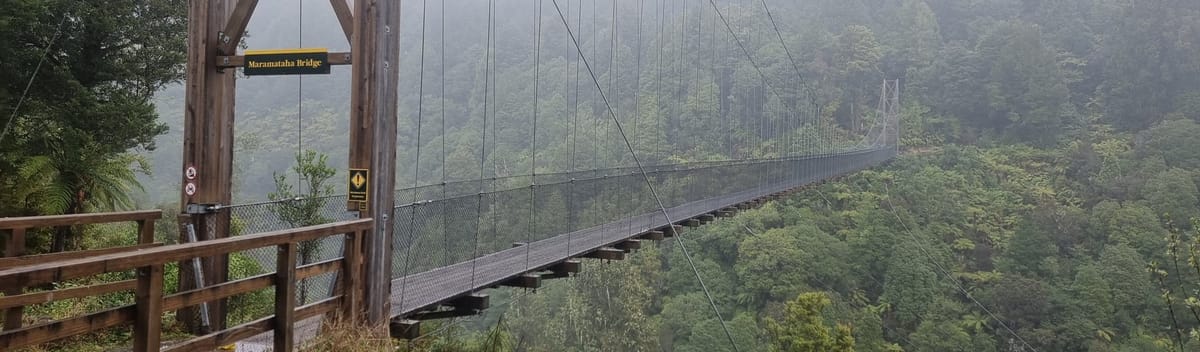 Timber Trail Day Two | Time Out 2021-22 Pureora Forest