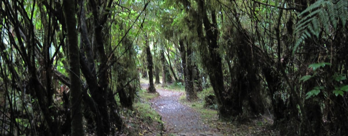 Marlborough\West Coast Cycle Day 3 – Moana to Punakaiki