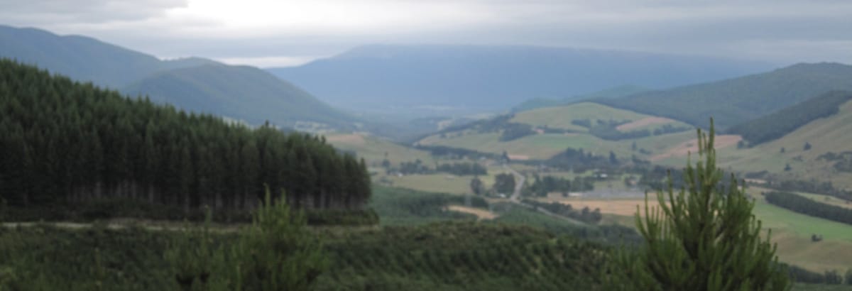 Marlborough\West Coast Cycle Day 6 – To St Arnaud