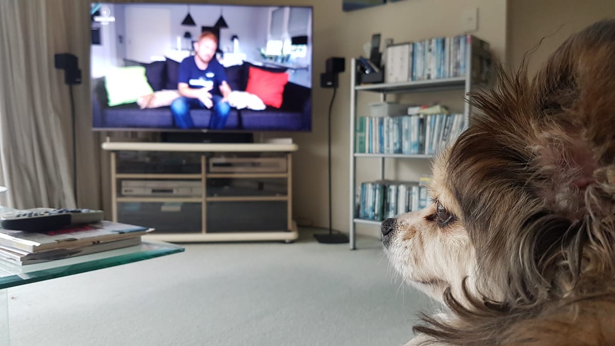 Dead Sky and a clicking amp, cable day!