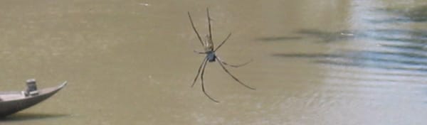 Phú Quốc to Cần Thơ | Day 7 Vietnam Cycle Tour