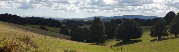 Northland Twin Coast Trail Cycle 5 | Russell to Kaikohe, via Kerikeri