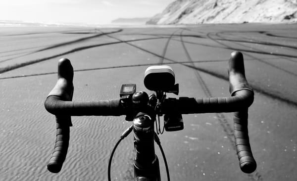 Auckland Region | Āwhitu | Time Out 2021-22 Christmas and January