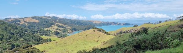 Auckland Region | Waiheke | Time Out 2021-22 Christmas and January