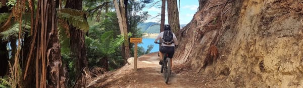 Whakarewarewa Forest Loop & Te Ara Ahi Trail | Time Out 2021-22 Rotorua