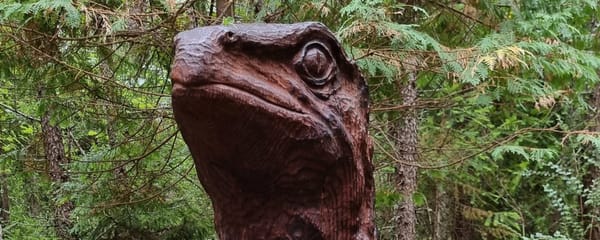 Hanmer Springs Walks | Time Out 2021-22 Hanmer Springs