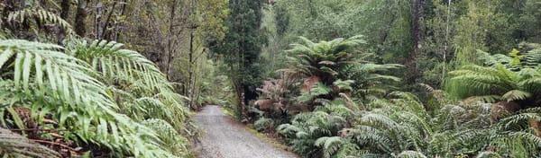 West Coast Wilderness 02 | Hokitika Gorge & Cycle Dorothy Falls to Hokitika | Time Out 2021-22 West Coast