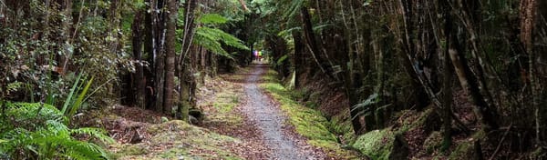 West Coast Wilderness 01 | Ross to Scenic Waterways | Time Out 2021-22 West Coast