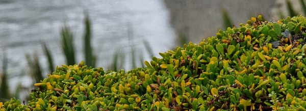 Punakaiki to Westport | Time Out 2021-22 West Coast Drive