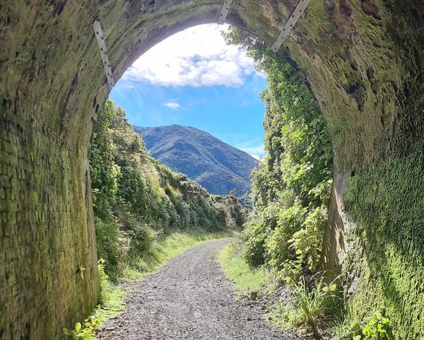 Remutaka Cycle Trail | Time Out 2021-22 Wellington