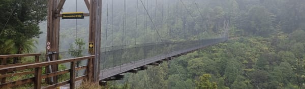 Timber Trail Day Two | Time Out 2021-22 Pureora Forest