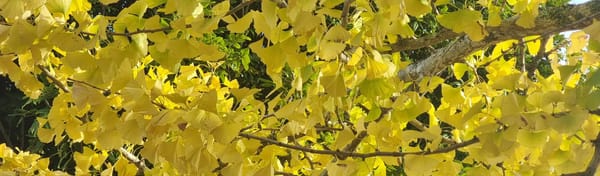 Winter seasonal change and 7,000km+ Ride | Time Out 2021-22