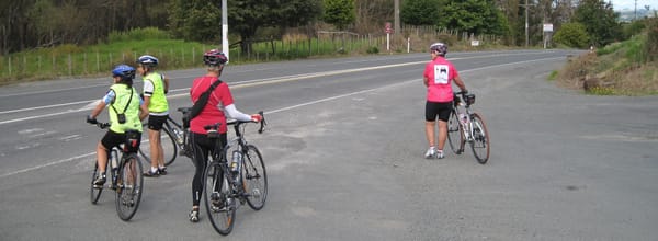 Auckland to Baylys Beach ~ Northland Sojourn 2012 Day 2
