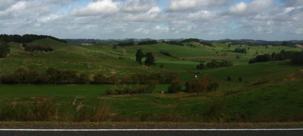Last ride to Whangarei, huh? ~ Northland Sojourn 2012 Day 10
