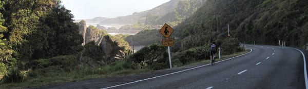 Adventure South | Marlborough\West Coast Cycle With Bas 2012