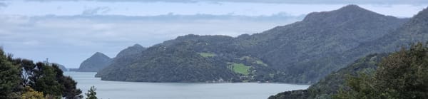 Huia investigations TO2122-15 | Time Out 2021-22