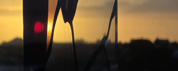 Bic Runga Red Sunset superb, NZICC venue not so much?